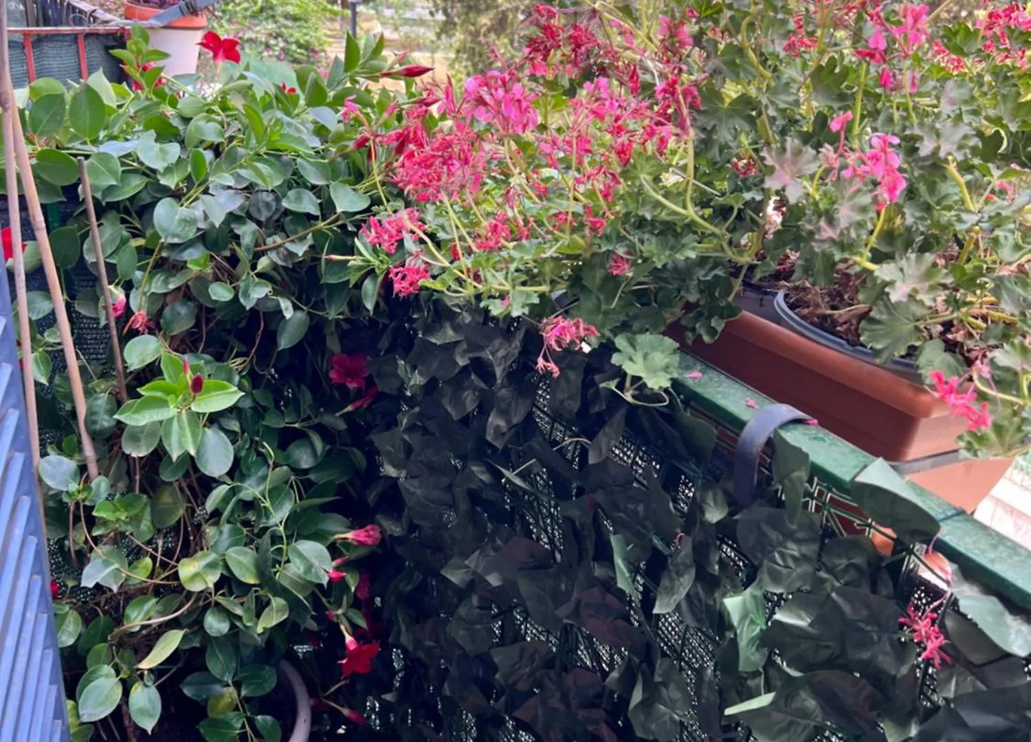Apartment Savia Home Catania Italy